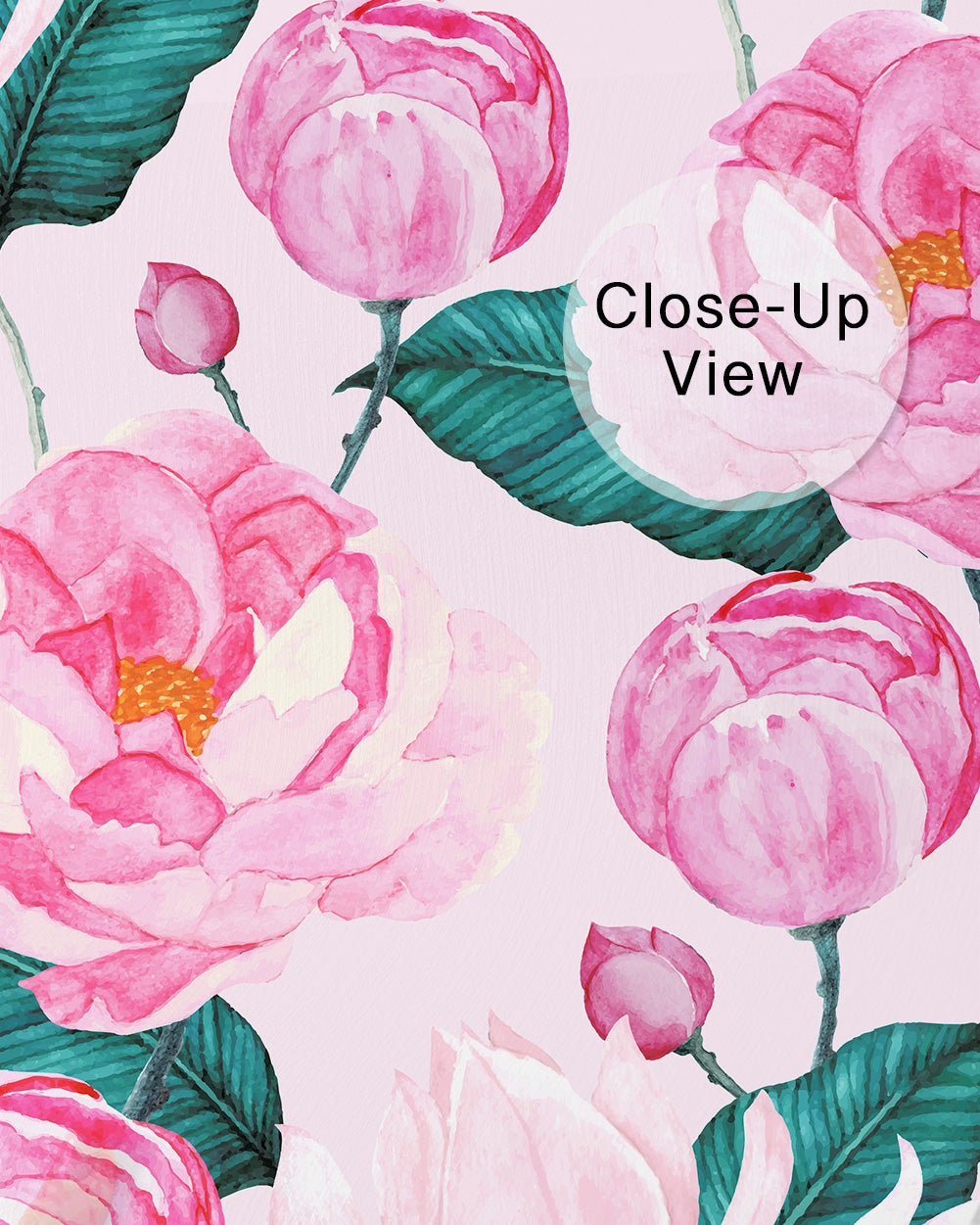 Rosé Bloom Wall Mural