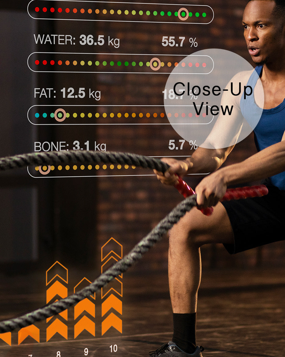 Dynamic Gym Wall Mural