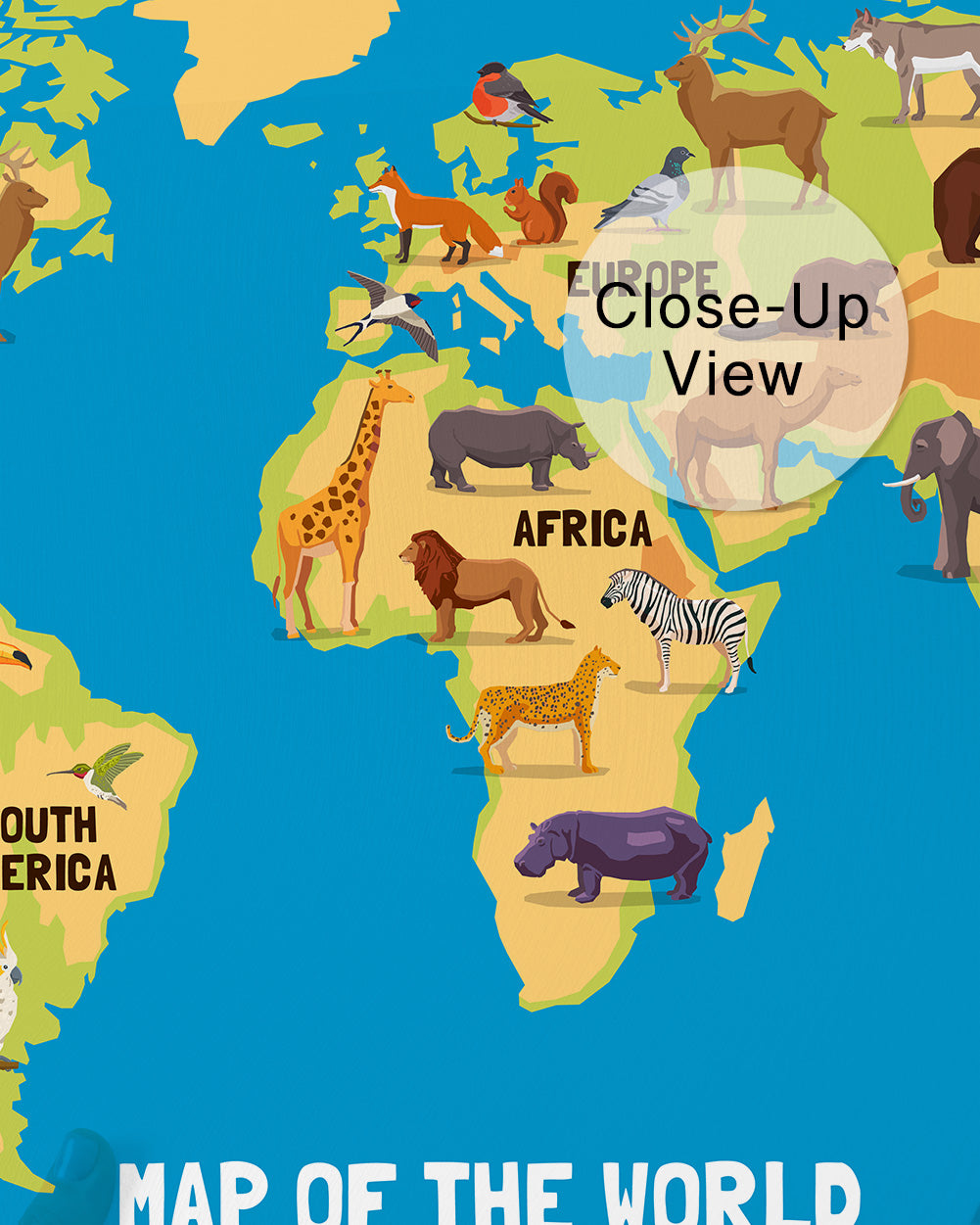 Wildlife World Wall Mural