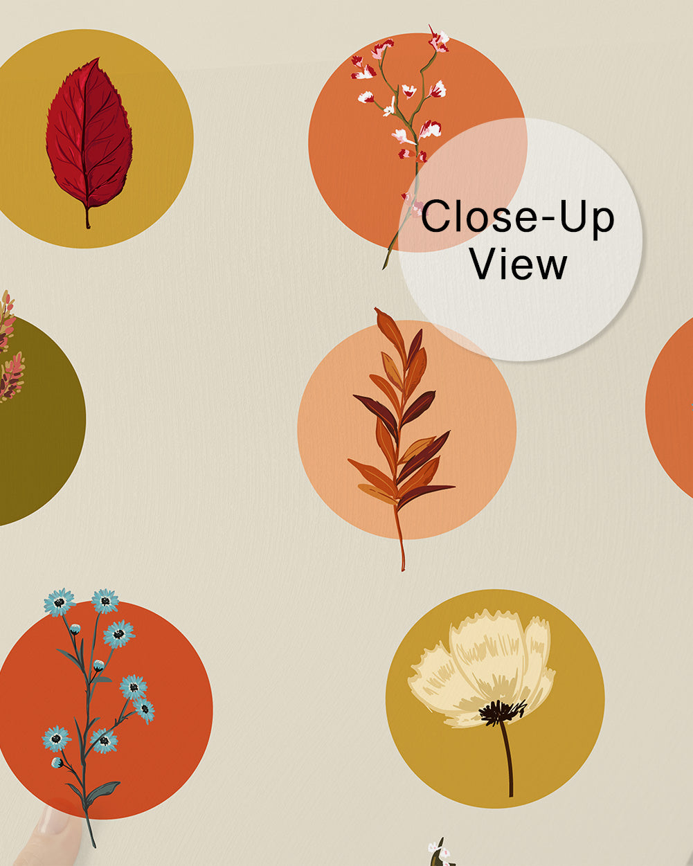 Botanical Circles Wall Mural